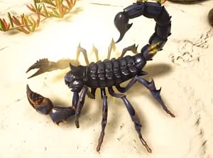 scorpion_creature-atlas-mmo-wiki-guide-walkthrough
