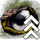 Advanced Eagle Eyes_skill_atlas_game_wiki_guide
