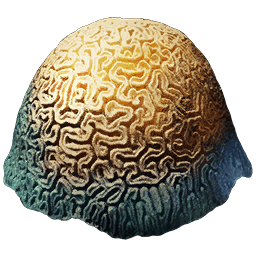 brain_coral_resources_atlas_mmo_game_wiki_guide