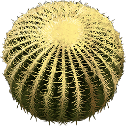 cactus-consumable-atlas-mmo-game-wiki-guide