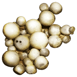 calcite_pearls_resources_atlas_mmo_game_wiki_guide