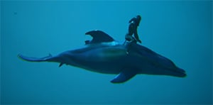 dolphin_creature-atlas-mmo-wiki-guide-walkthrough