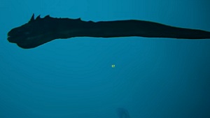 eel_creature-atlas-mmo-wiki-guide-walkthrough