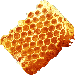 Image result for bee hive hony comb