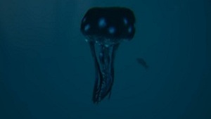 jellyfish-creature-atlas-wiki-guide.jpg