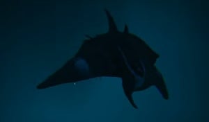 manta-whale-creature-atlas-wiki-guide.jpg