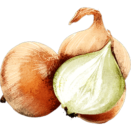 onion-consumable-atlas-mmo-game-wiki-guide