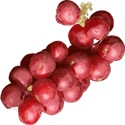 schisandra_berry_consumables_resources_atlas_mmo_game_wiki_guide