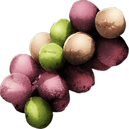 sea_grapes_berry_consumables_resources_atlas_mmo_game_wiki_guide