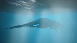 squid-creature-atlas-wiki-guide.jpg