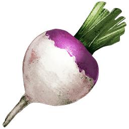 turnip-consumable-atlas-mmo-game-wiki-guide