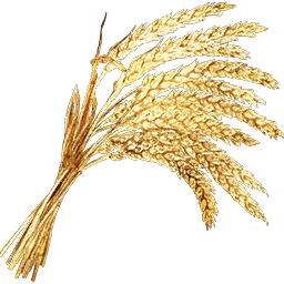 wheat-consumable-atlas-mmo-game-wiki-guide