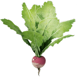 wild-turnip-consumable-atlas-game-wiki-guide